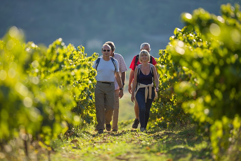 Immersion savoureuse au pied du Ventoux © Thomas O'Brien