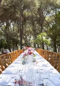 Table dressée dans le cadre d'un banquet insolite de la destination Autour du Ventoux