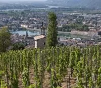 Vignes sur les côteaux de la Vallée du Rhône Nord