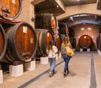 Visite dans un chai à barriques