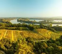 Vue sur le Rhône et les vignes qui le bordent en Vallée du Rhône
