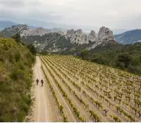 VTT dans les Dentelles de Montmirail