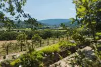 Parcelle du jardin botanique du domaine de La Citadelle