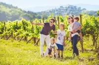 Famille qui se promène dans les vignes