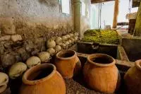 Vieilles amphores présentes sur le domaine viticole du Mas des Tourelles