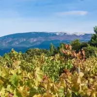 Vue sur le Mont Ventoux en automne depuis le domaine Les Chancel