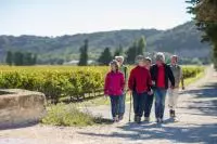 Balade dans les vignes du Cellier des Chartreux dans les Côtes du Rhône