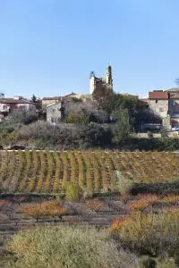 Vue sur le village de Signargues et ses vignes