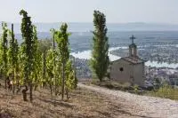 Vue sur le Rhône depuis la chapelle de l'Hermitage