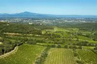 Vue d'ensemble sur les vignes de Chusclan