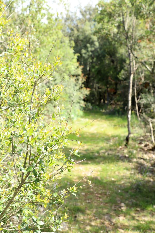 Sentier d'interprétation de la baume des fades