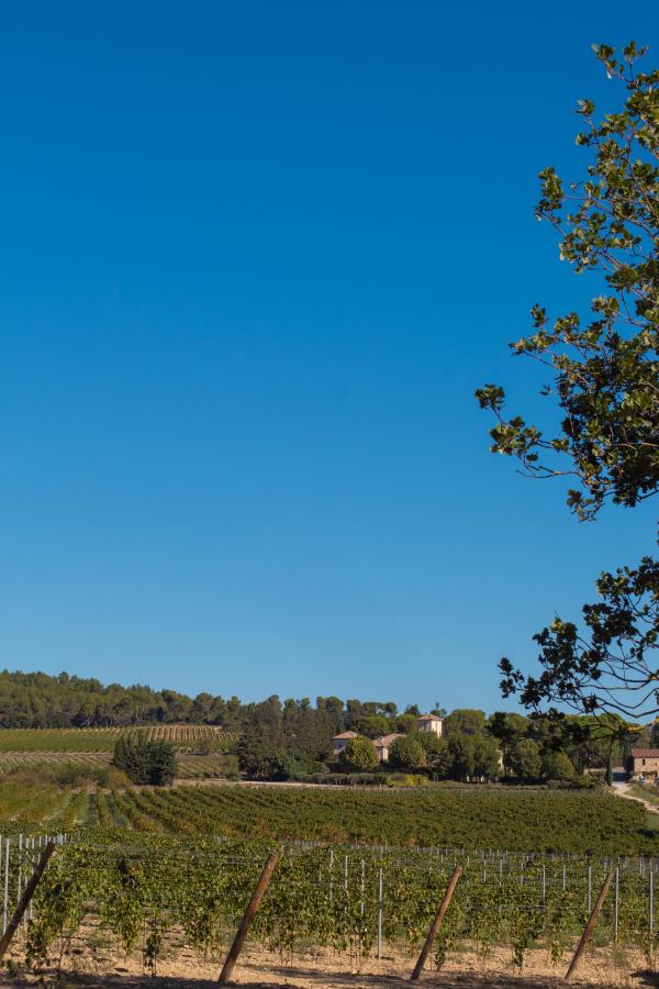 Le sentier vigneron du Château Gigognan