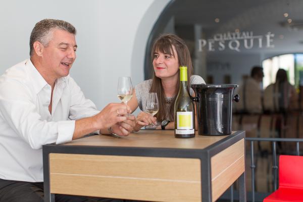 Introduction to tasting at Château Pesquié