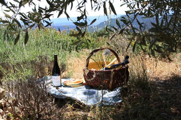 Winegrower's path - Domaine de Saint Amant