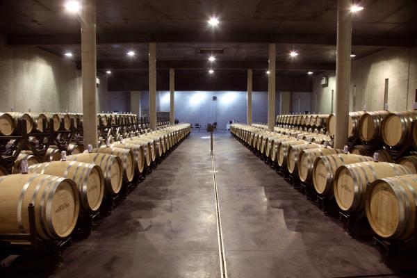 Cellar visit & Tasting at Domaine les Amoureuses