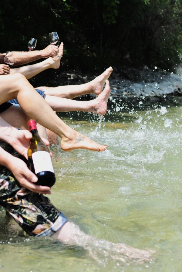 Domaine du Chardon Bleu