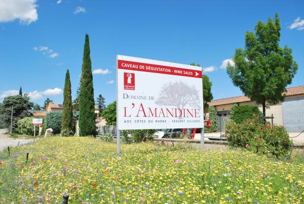 Visite de la cave - Domaine de l'Amandine