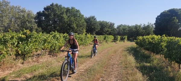VELŒnologie côte du Rhône à Saint-Martin-d'Ardèche