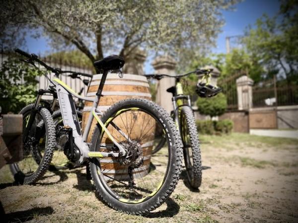 Véloenologie au Domaine de Cousignac