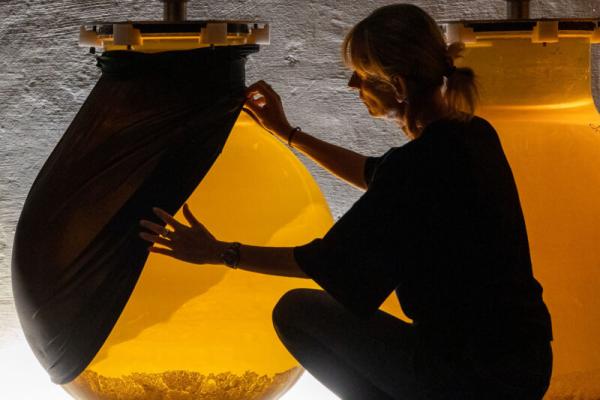 L'Âme du Vin : Visite et dégustation au Domaine de Montvac