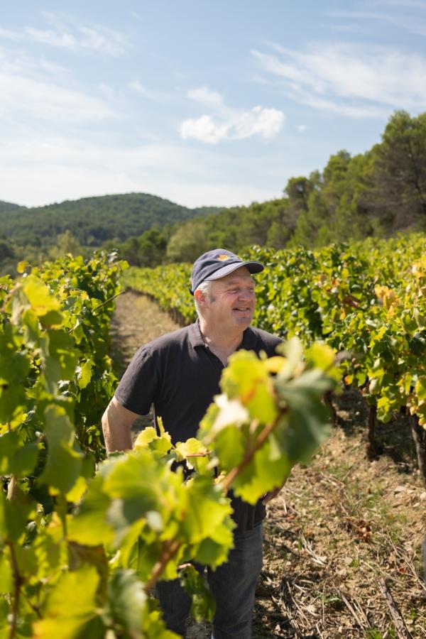 Vins Laurent Bellion