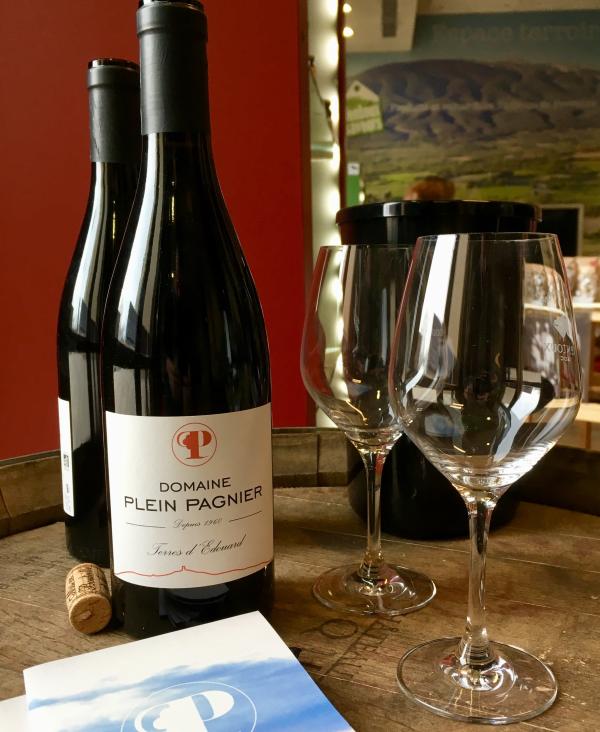 Dégustation vigneronne au Domaine Plein Pagnier