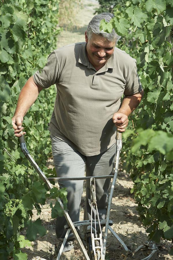 Domaine Pierre Gaillard