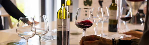 Atelier Ampélographie : de la vigne au vin à La Cavale - Cucuron