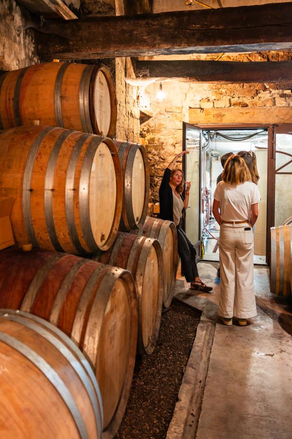 Visite de la cave & dégustation - Domaine La Ferme Saint-Martin