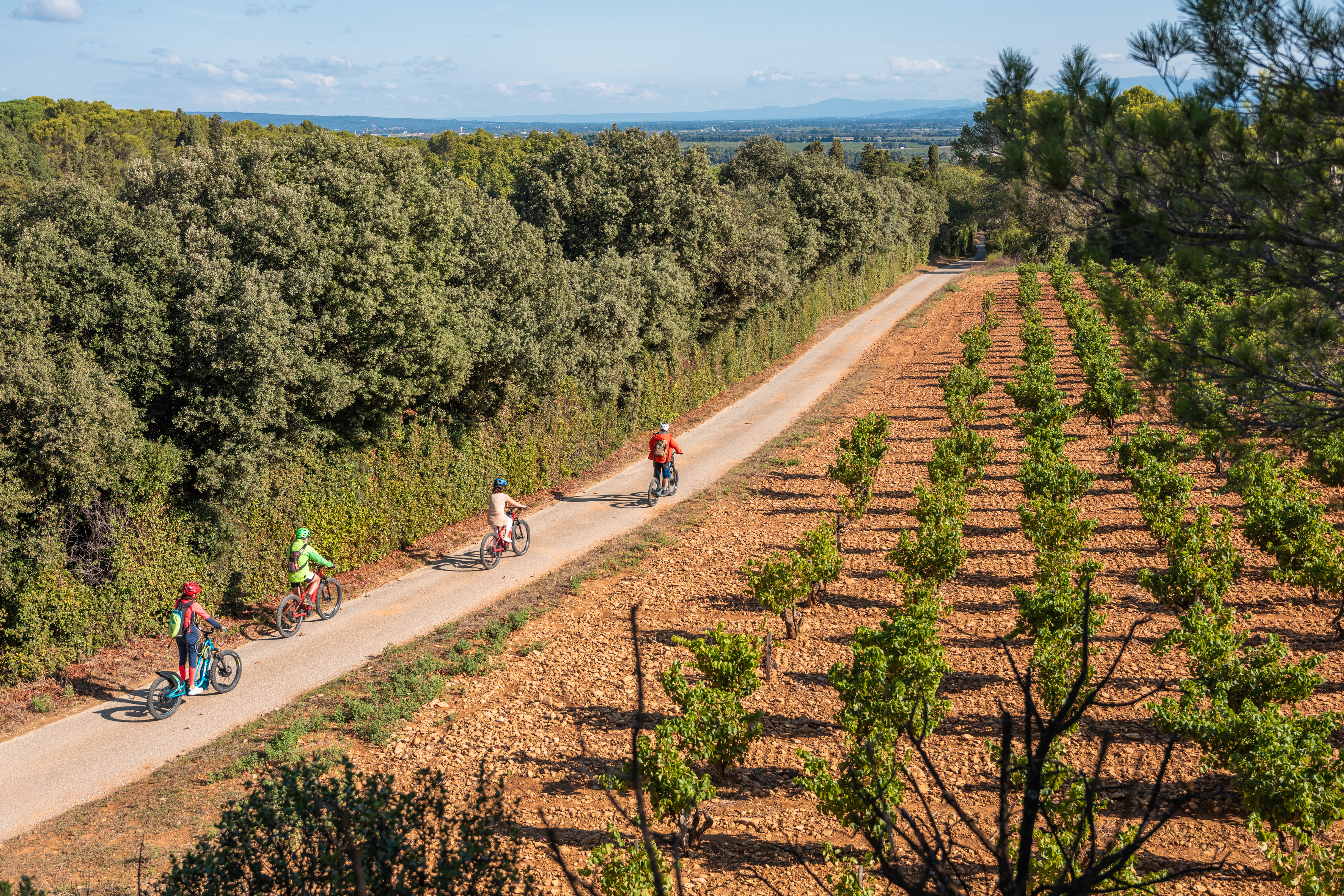 Balade à vélo dans les vignobles de la Vallée du Rhône