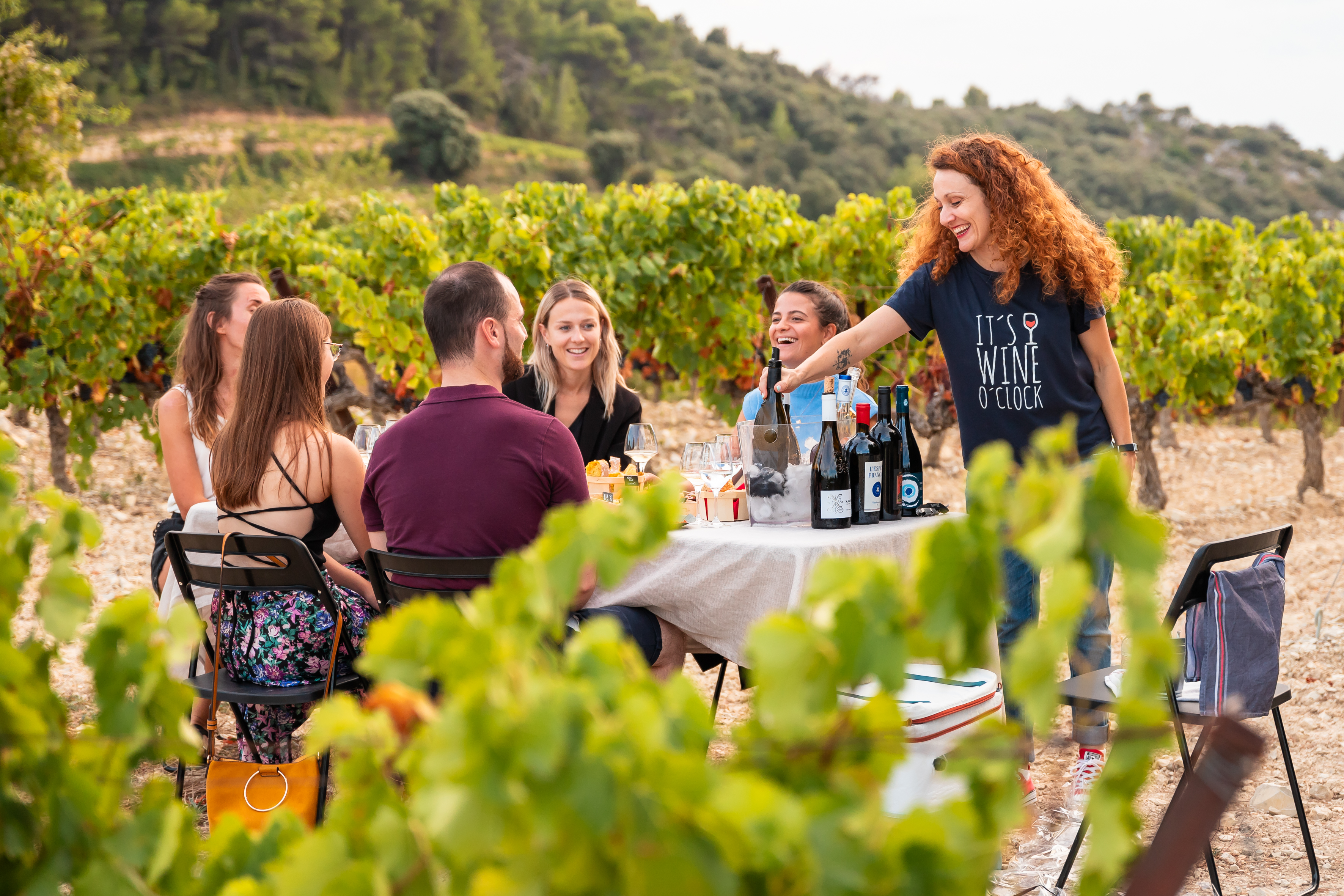 Repas dans les vignes de la Vallée du Rhône