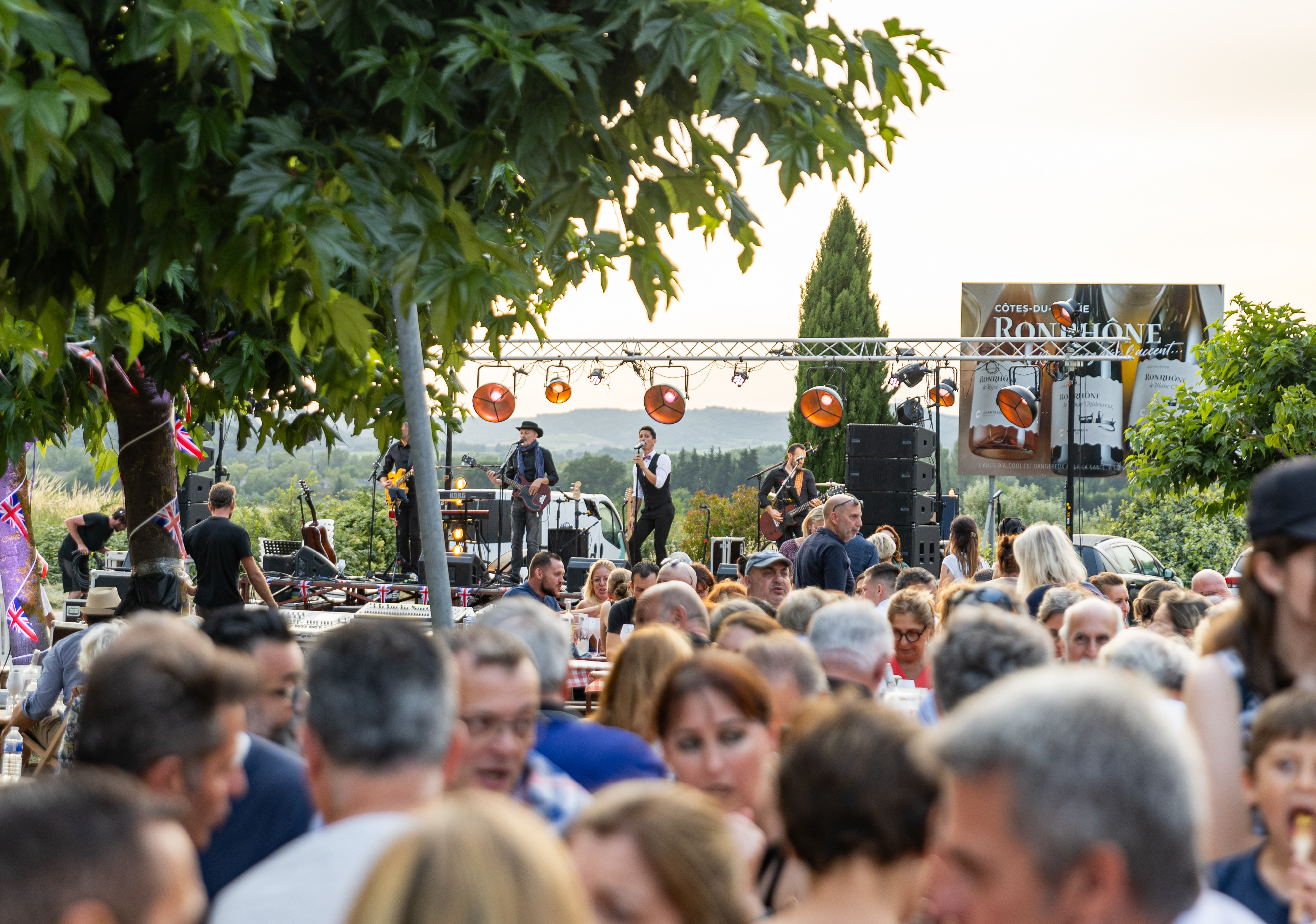 Concert lors de la soirée Les Chats partent en live