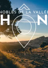 Paysages et vignes en hiver dans les vignobles de la Vallée du Rhône