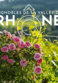 Le printemps dans les Vignobles de la Vallée du Rhône