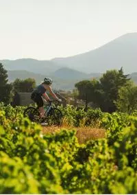 Autour du Ventoux-© Alain-Hocquel