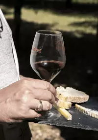 Dégustation © Costières de Nîmes