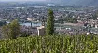 Vignes sur les côteaux de la Vallée du Rhône Nord