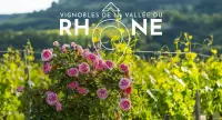Le printemps dans les Vignobles de la Vallée du Rhône
