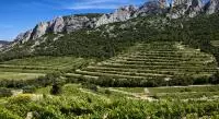 Autour des Dentelles de Montmirail- © Christophe Grilhe