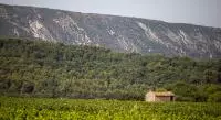 Vignoble du Luberon