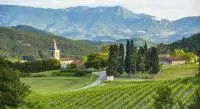 Clairette de Die-©Juan Robert