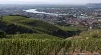 Vue sur le Rhône depuis les parcelles de vignes de l'Hermitage