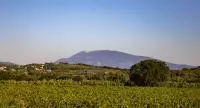 Autour du Ventoux-© Denis Plat