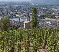 Vignes sur les côteaux de la Vallée du Rhône Nord