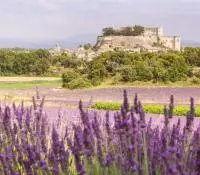 Vu sur le château de Grignan depuis un champs de lavandes