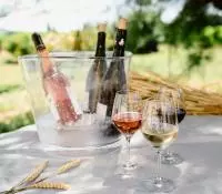 Déjeuner dans les vignes avec dégustation de vins de la Vallée du Rhône