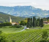 Vue sur les vignes de Clairette de Die et sur le massif du Vercors