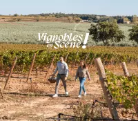 Programme Vignobles en Scène 2026
