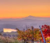 Vue sur le Rhône et ses vignobles à l'automne