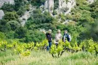 Escapade gourmande au coeur des Dentelles de Montmirail - Thomas OBRIEN 